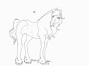 Draf Horse mare