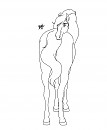 Horse Lineart (not free)