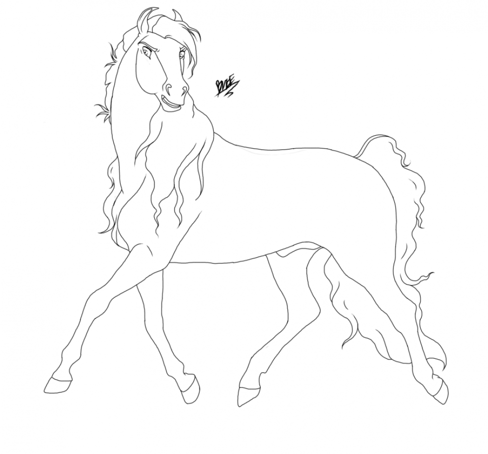 Stallion