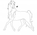 Stallion