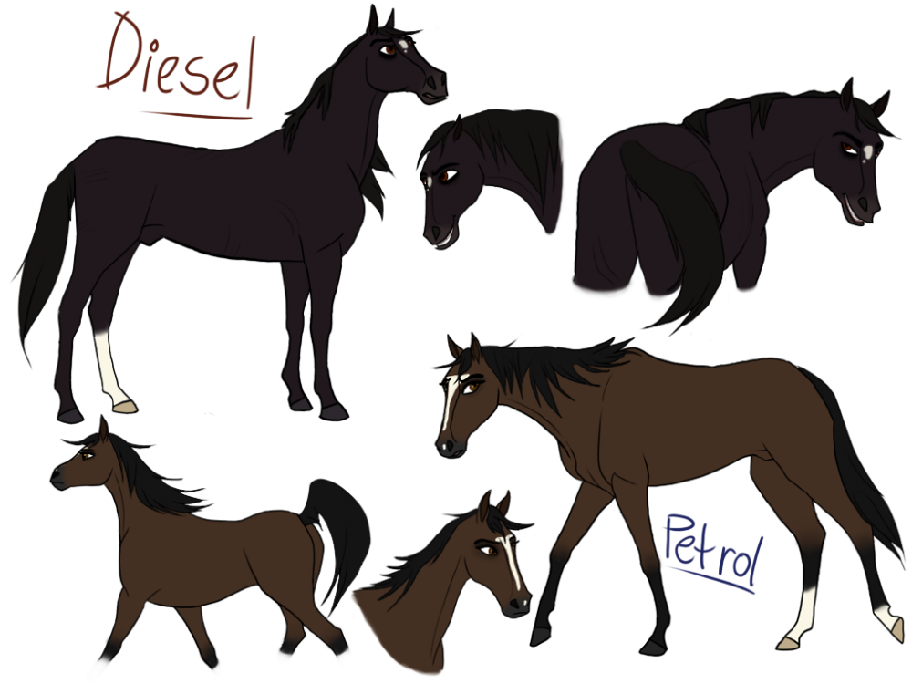 Diesel and Petrol