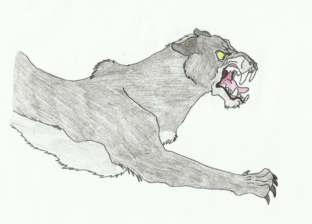 The Cougar