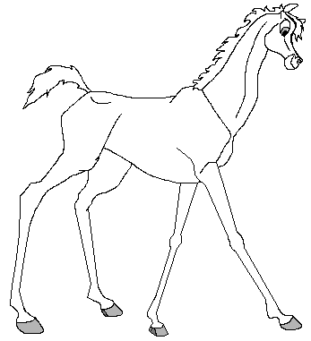 Filly lineart