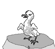 Eaglet lineart