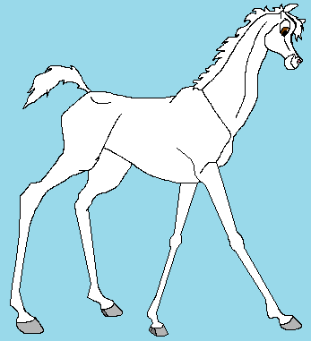 Filly Bonita - portrait