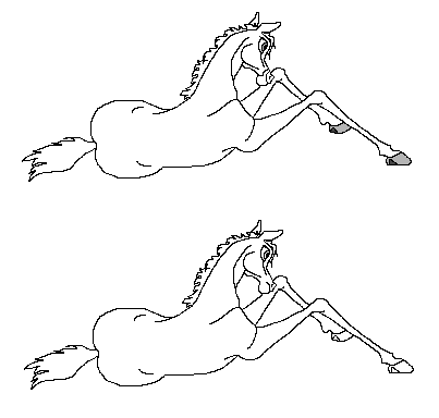New-born filly- 2 versions