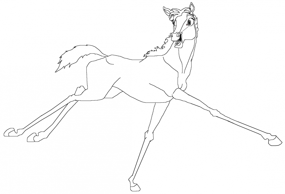 Funny colt running around