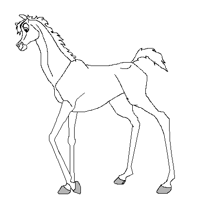 Colt lineart