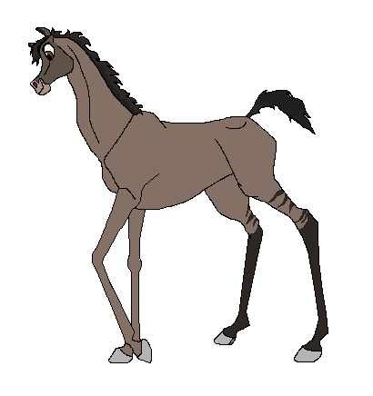 Cedar as a colt