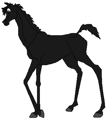 Portrait of Strider, as a colt