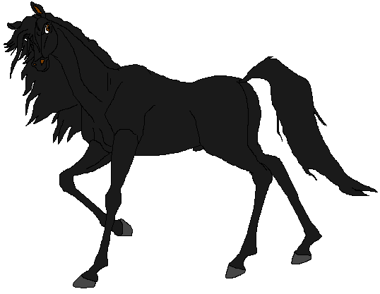 Portrait of Strider