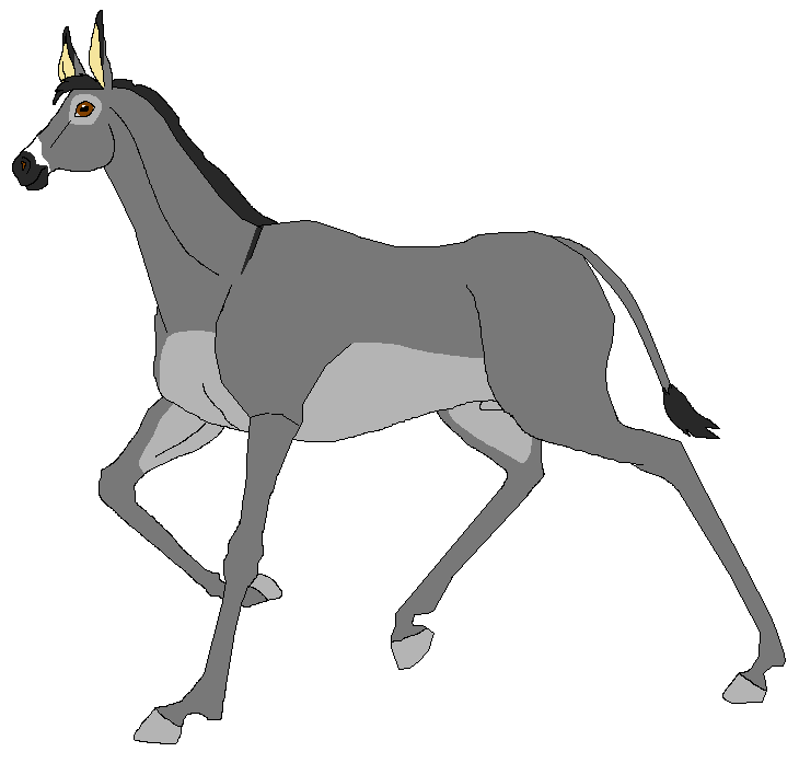 Realistic Paco