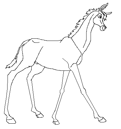 Donkey foal lineart