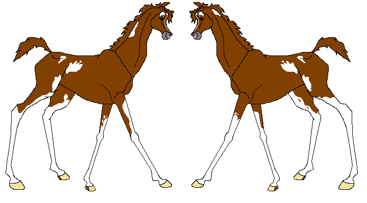 Filly Sierra