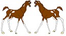 Filly Sierra