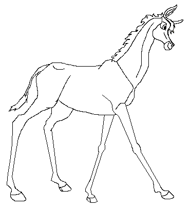 Donkey filly lineart