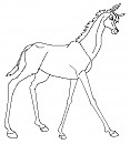 Donkey filly lineart