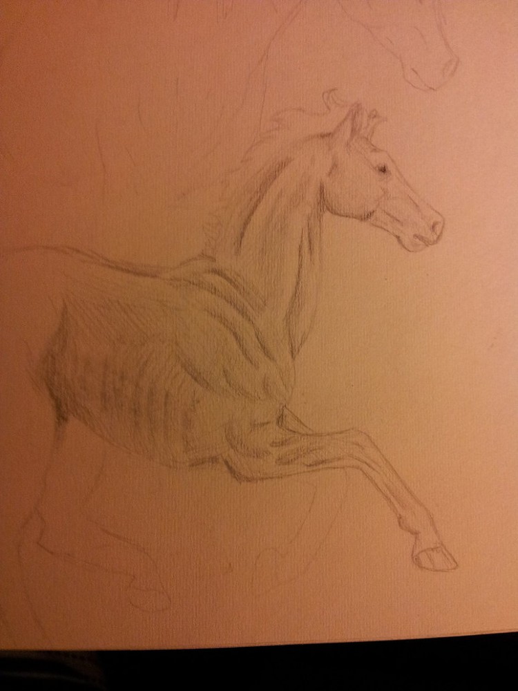 A HOARSE