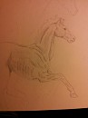A HOARSE