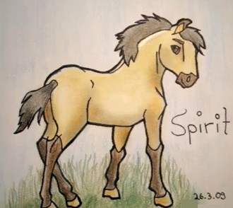 Baby Spirit.. It's so cute =3