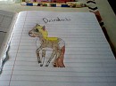 Deirdre and Tornado's new fillies old design!