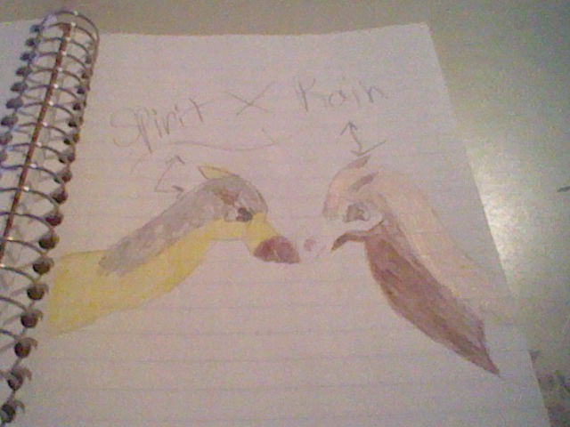 Spirit and Rain!