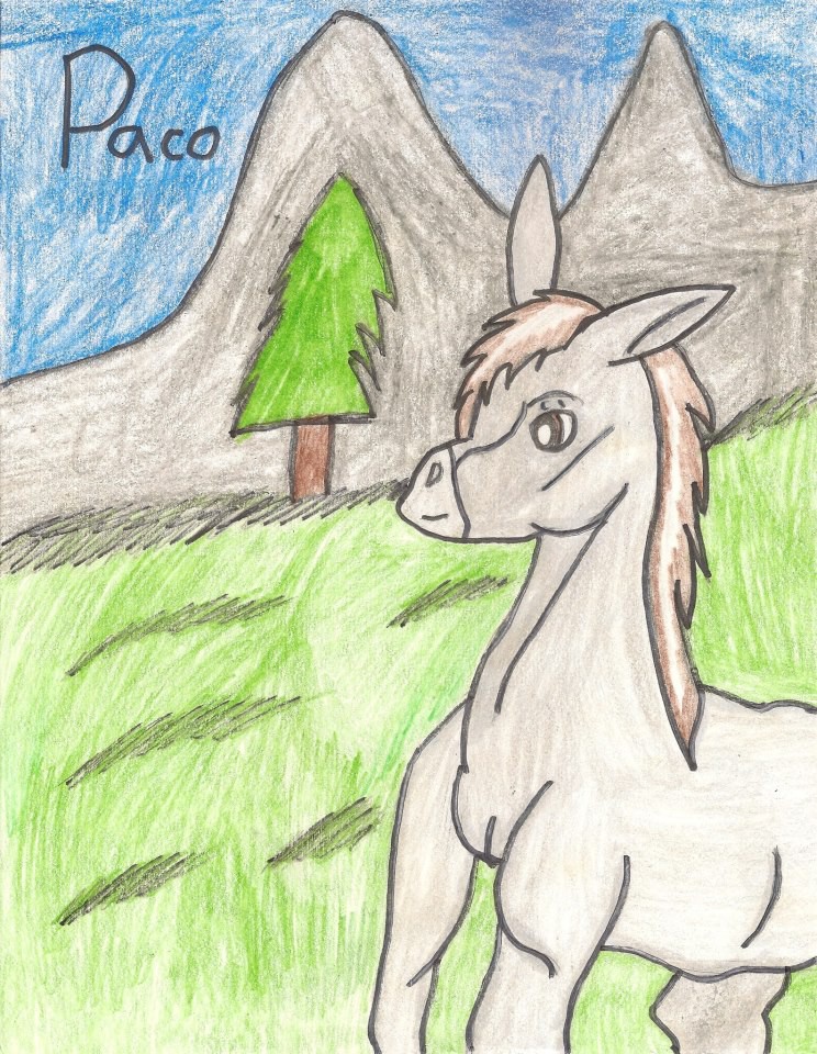 Paco