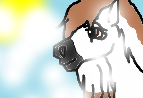 Sunshine is shining down on me!