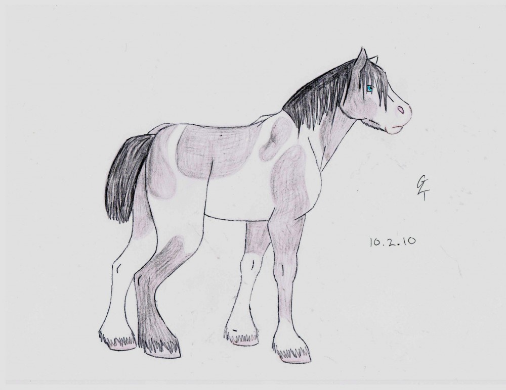 Shire Mare