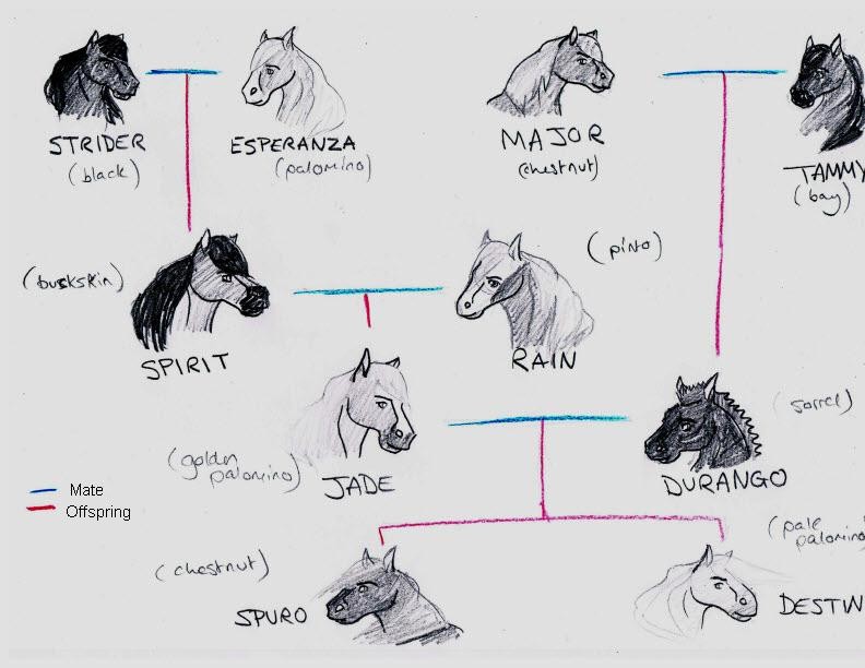My Spirit Family Tree