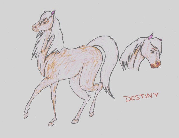 Destiny