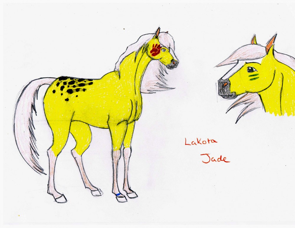 Lakota Jade