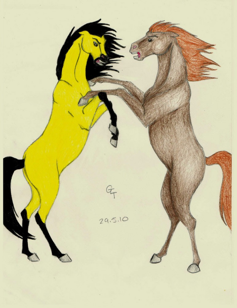Spirit and Durango Fight