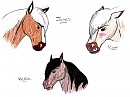 New Characters in Spuro