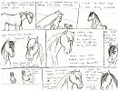 Spuro Draft - Comic Form
