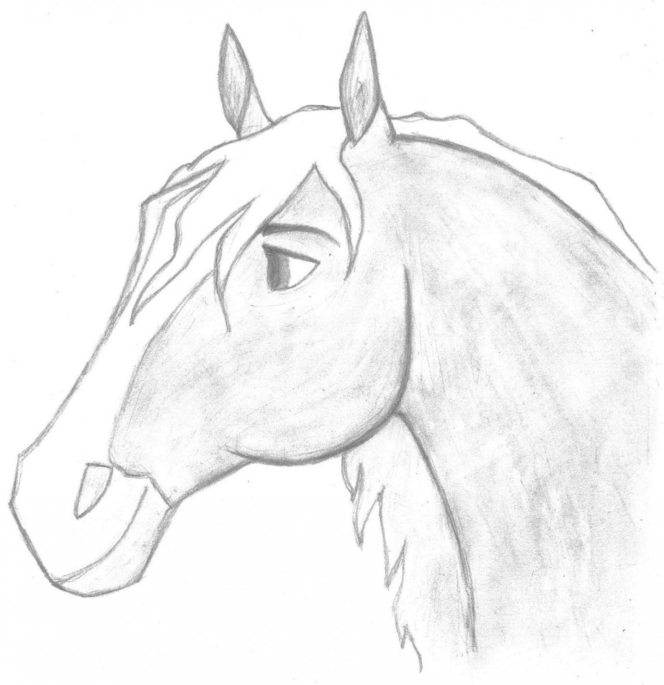 Pencil Drawing of Esperanza