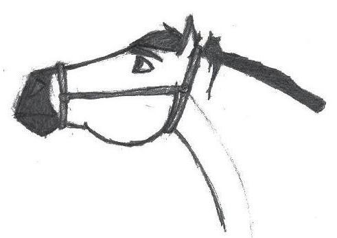 Black and White Spirit Drawing