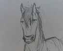 spirit sketch