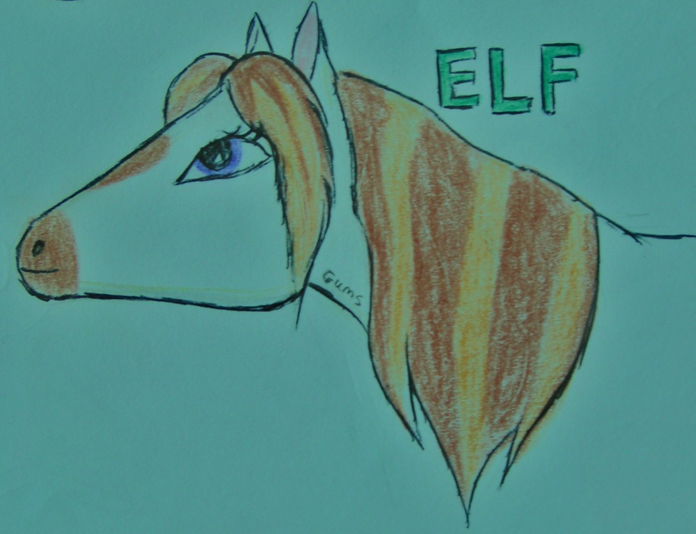 Elf for Pawface!
