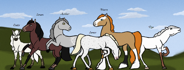 Some of the Panthera herd stallions