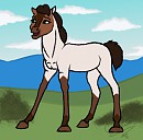 Trade with: White frost