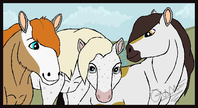 Panthera Herd Stallions