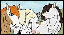 Panthera Herd Stallions