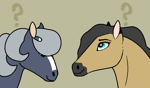 Top Mare Voting