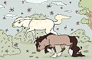 Puer Solis and his Mate