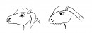 Head Shapes Try