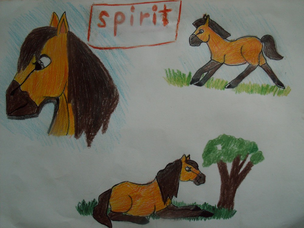 Spirit