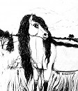 ~In Ink~
