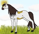 Pantha