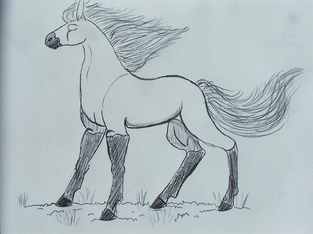 Spirit
